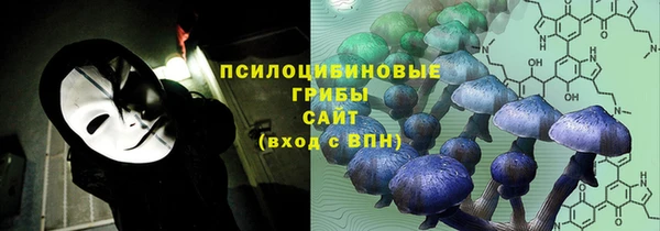 мяу мяу мука Алагир