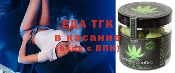 хмурый Магас