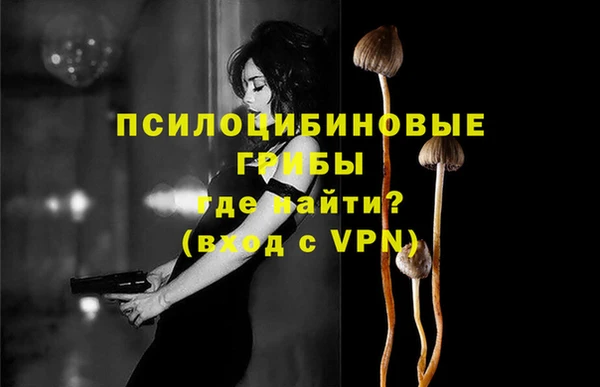 гидропоника Магадан