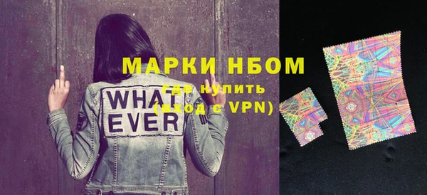 хмурый Магас