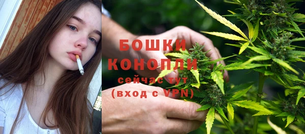 хмурый Магас