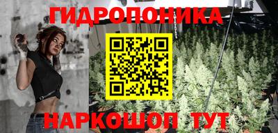 амф Донской