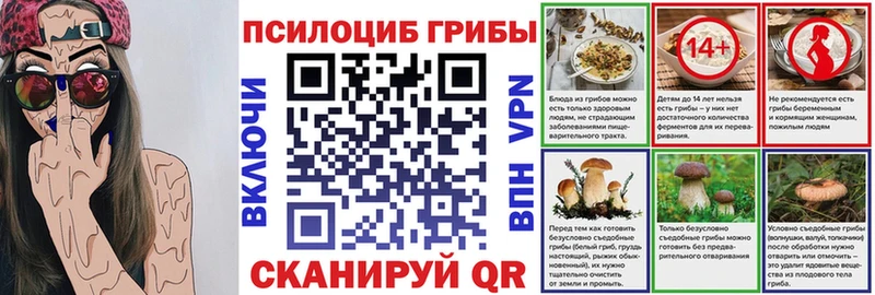 Галлюциногенные грибы Psilocybine cubensis  Усть-Джегута 