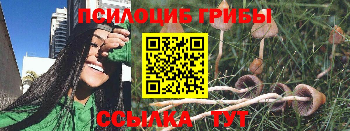 Галлюциногенные грибы мицелий  Псилоцибиновые грибы мицелий  Вход с VPN  Усть-Джегута 