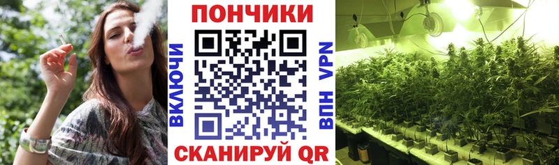 МЕГА ССЫЛКА  Усть-Джегута  Шишки марихуана LSD WEED 